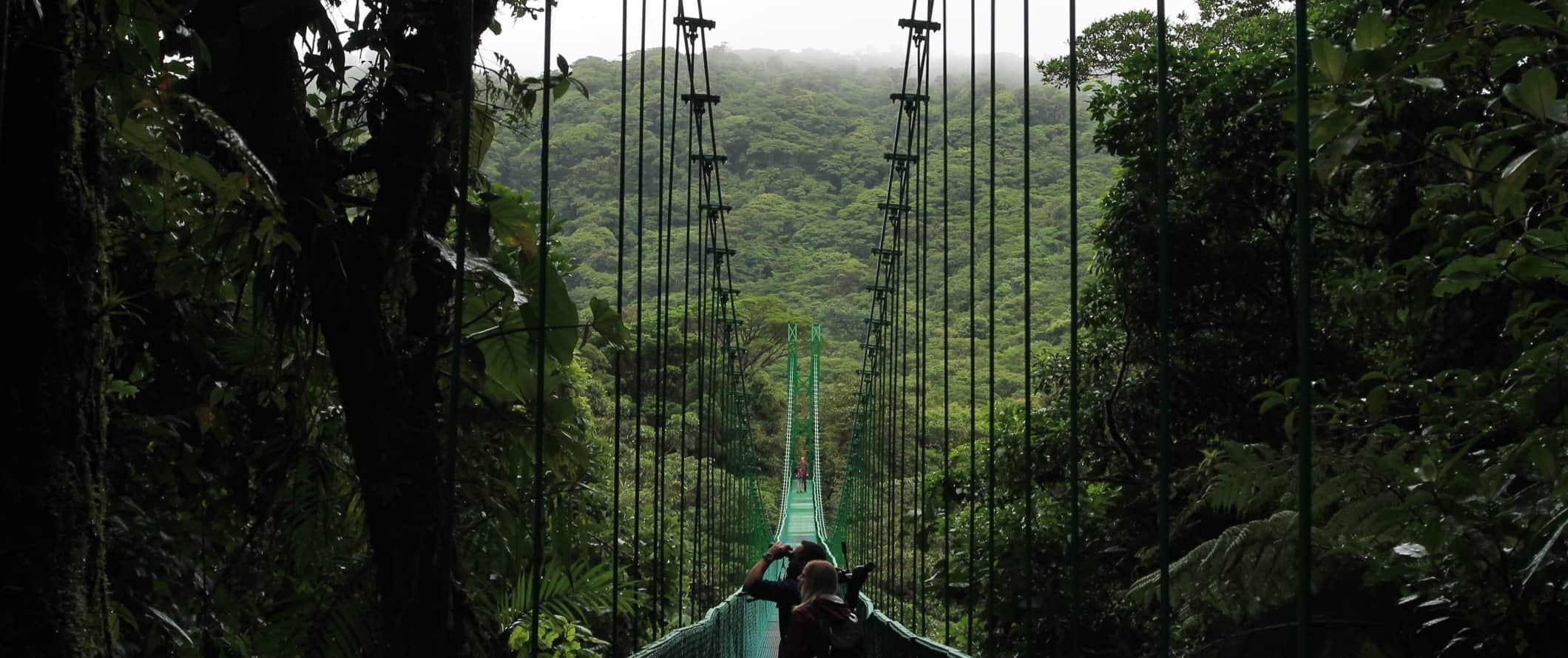 People walking across a suspension bridge in the cloud forest in Monteverde, Costa Rica