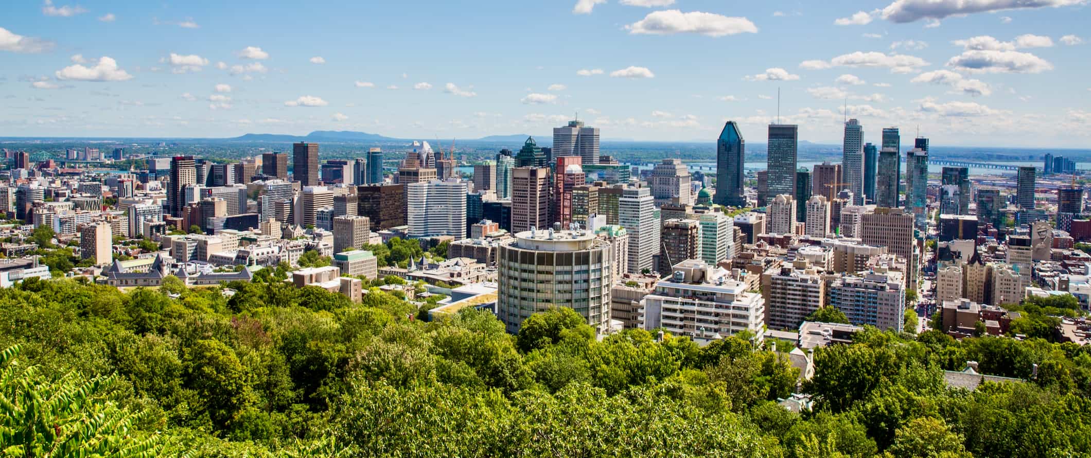 A view of Montreal from Mont Royal during the summer with lush green leaves in the foreground