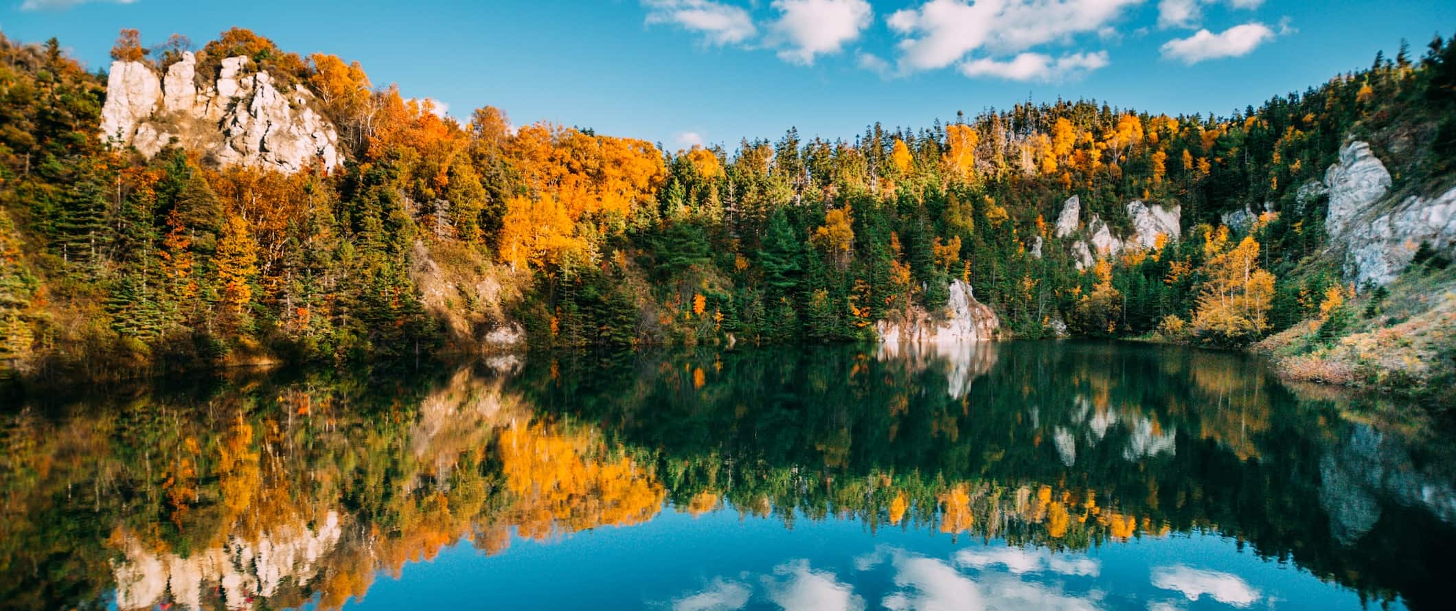 A stunning scenic view of a lake and forest in beautiful Nova Scotia, Canada