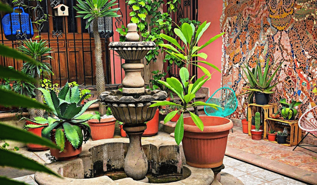 An outdoor common area full of plants at the Hostal Central in Oaxaca, Mexico