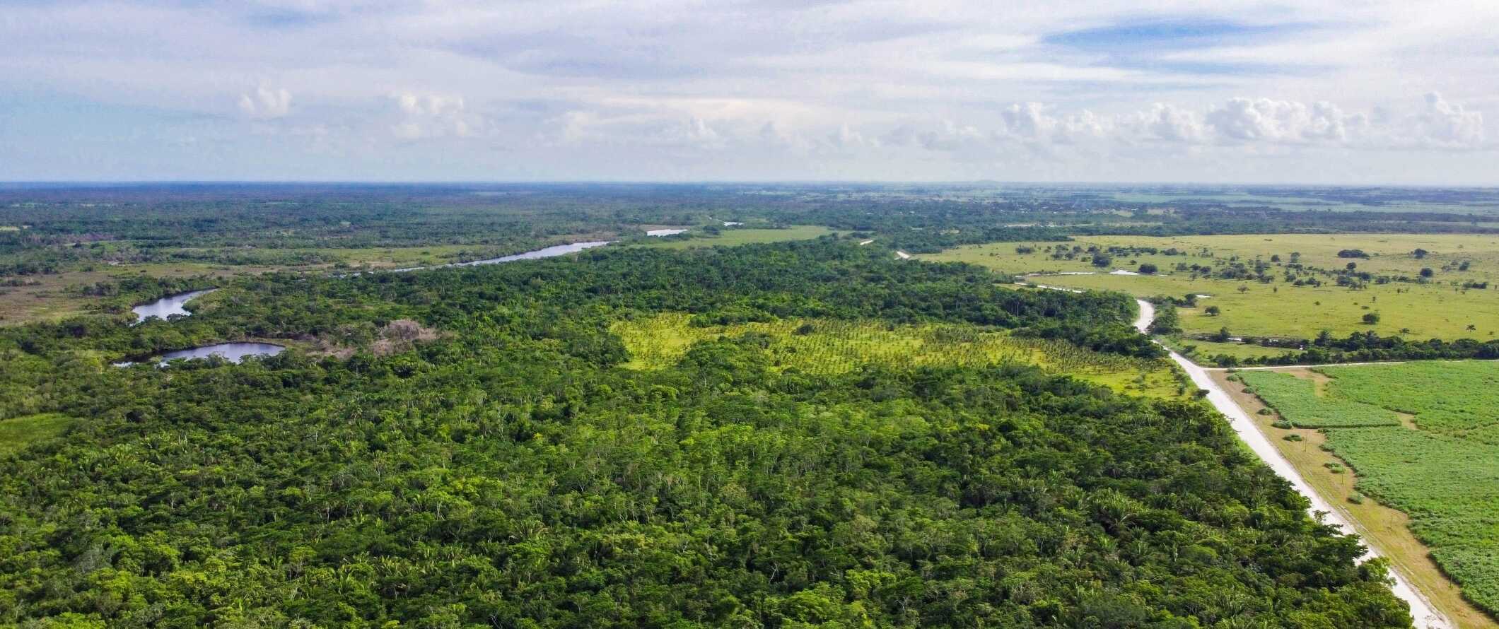 Drone view of lush landscapes of Orange Walk in Belize