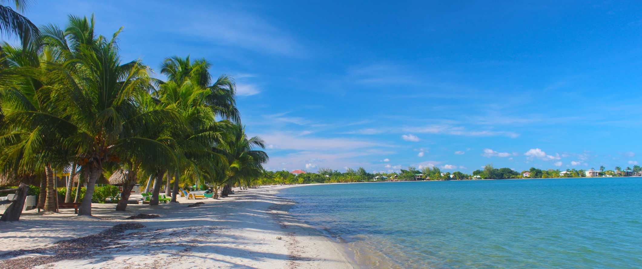 Picturesque beach lined with palms in Placencia, Belize