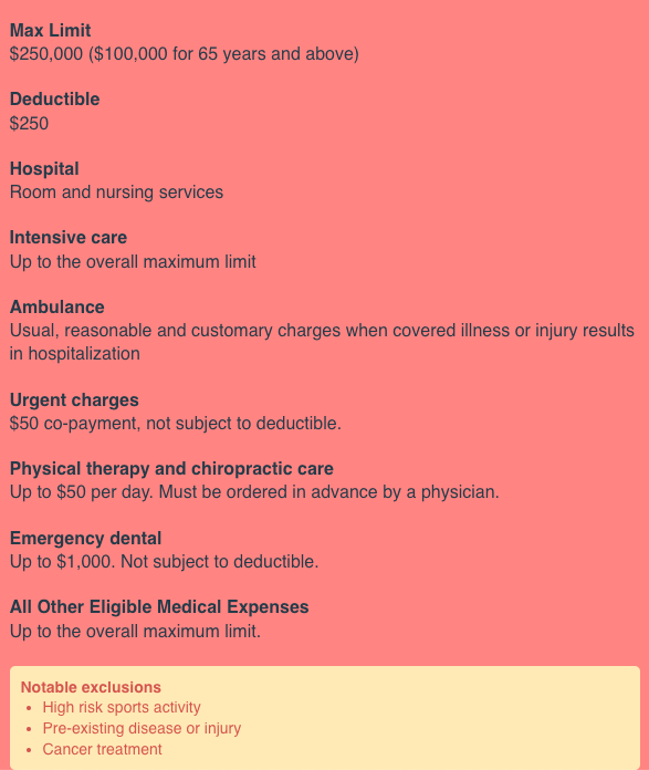 Screenshot of SafetyWing insurance coverage