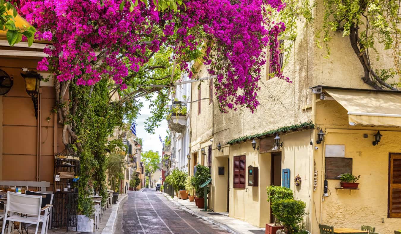 A charming narrow street lined with greenery and trees in Plaka, Athens