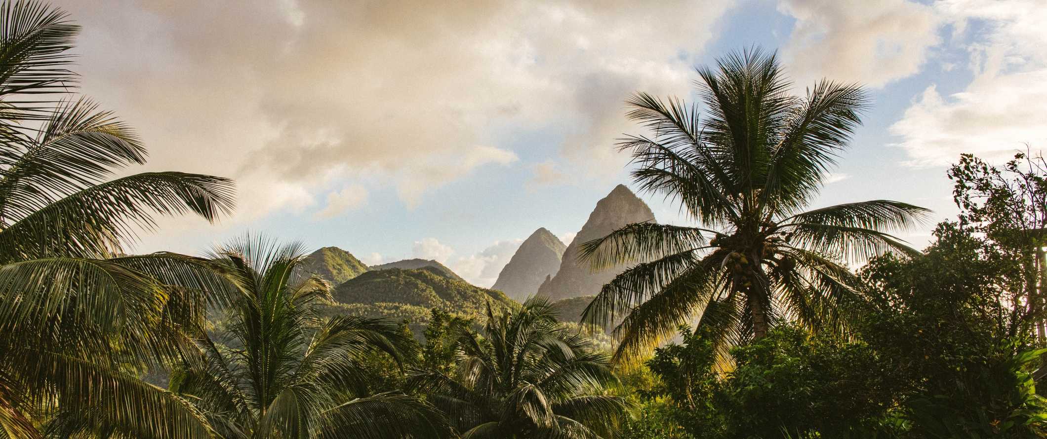 Palm trees and sharp peaks of mountains in the distance of the Caribbean island of Saint Lucia