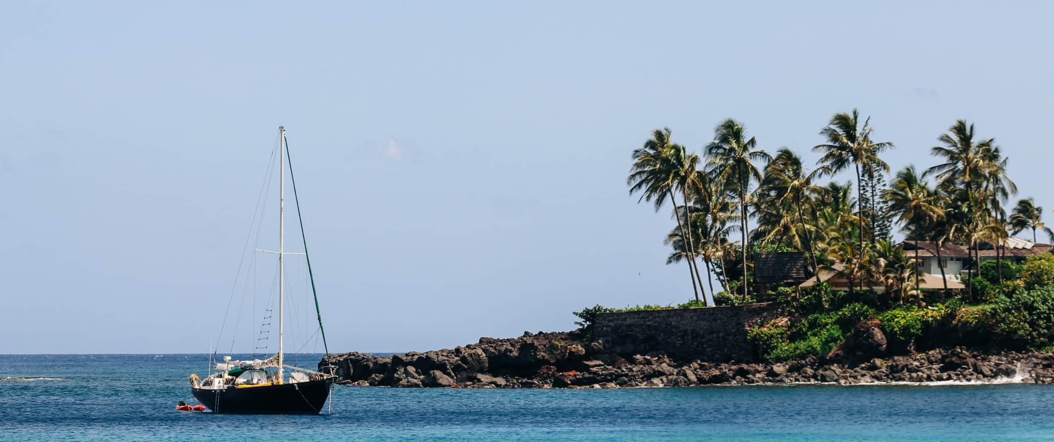 A sailboat floating into a harbor with palm trees on the shore off the Caribbean island of Saint Lucia