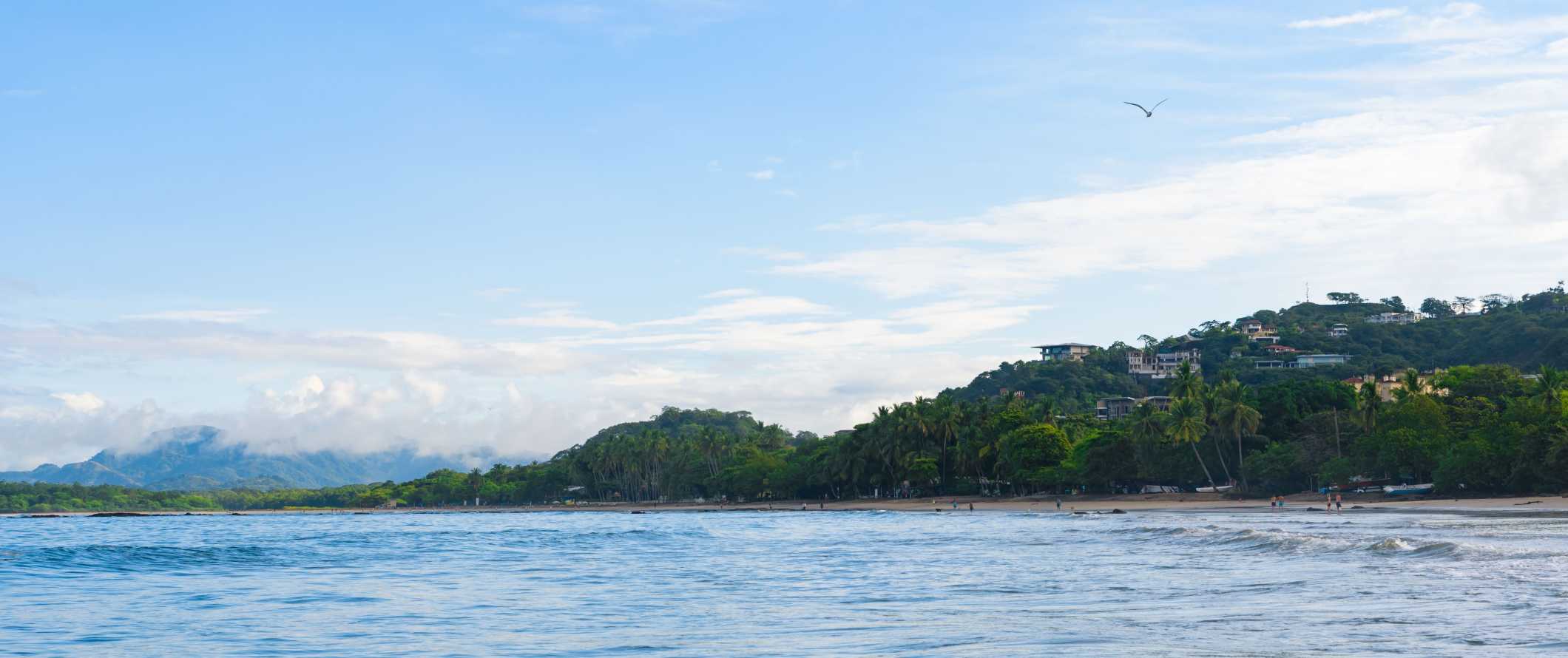 A beach lined with palm trees in Tamarindo, Costa Rica