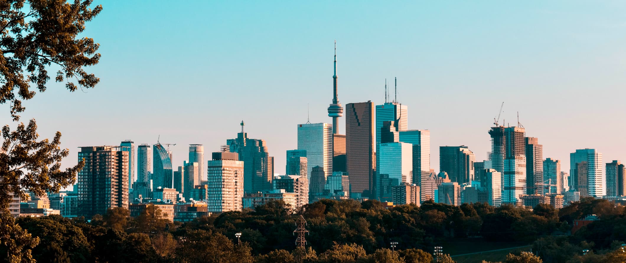 Toronto, Canada skyline with tons of trees and greenery in the foreground