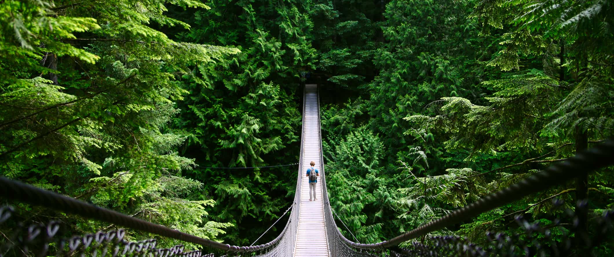 A lone traveler crossing the iconic Capilano Suspension Bridge in the forest near Vancouver, Canada