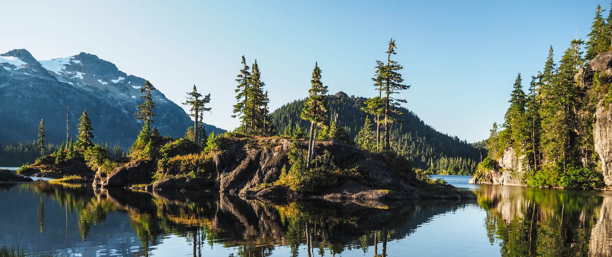 A stunning forest landscape near a lake in beautiful Vancouver Island, Canada