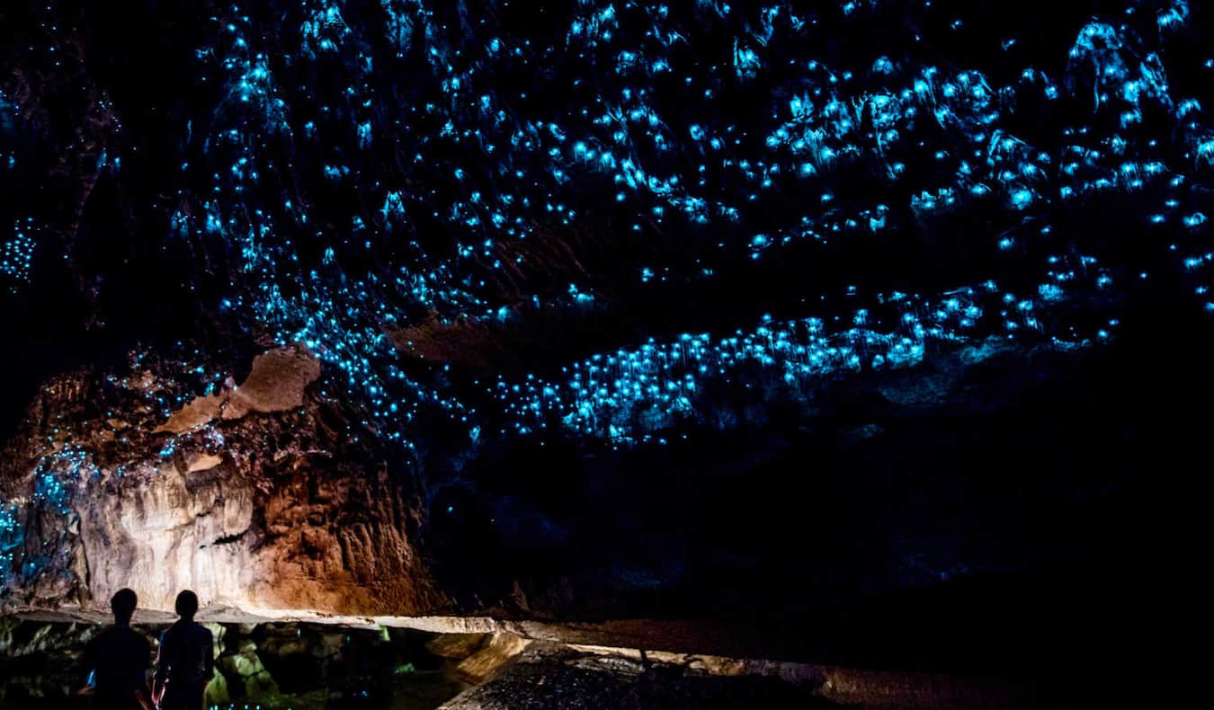 The famous glow worms in a cave in Waitomo, New Zeland