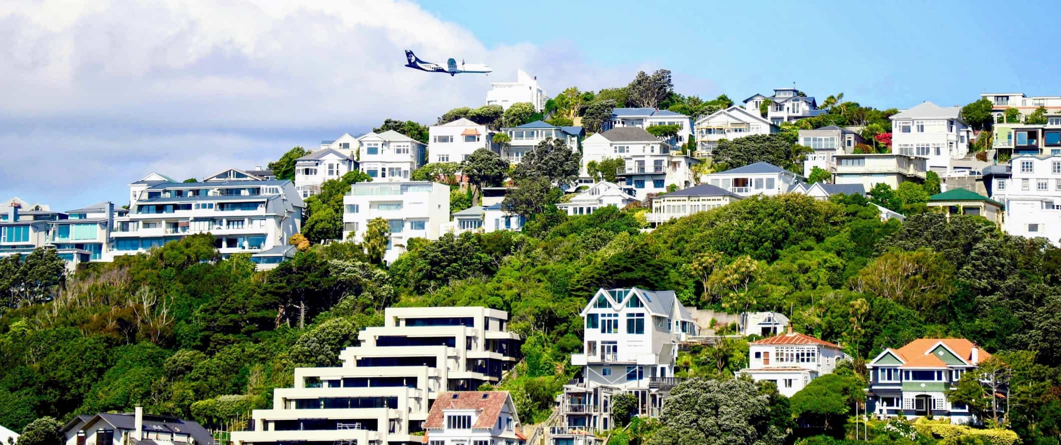 Many houses set into a lush green hillside, with an airplane flying overhead in Wellington, New Zealand.