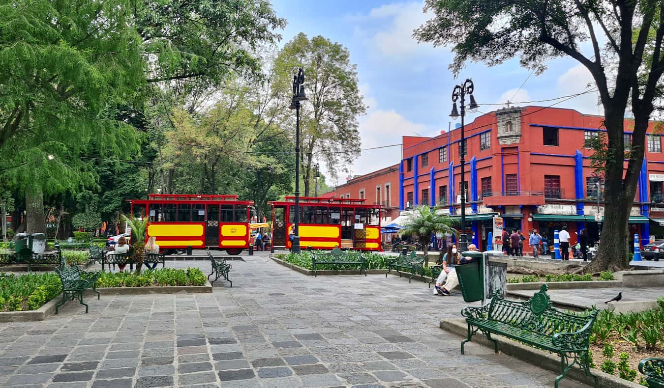 People relaxing in a park in the Coyoacán neighborhood in Mexico City, Mexico on a sunny day