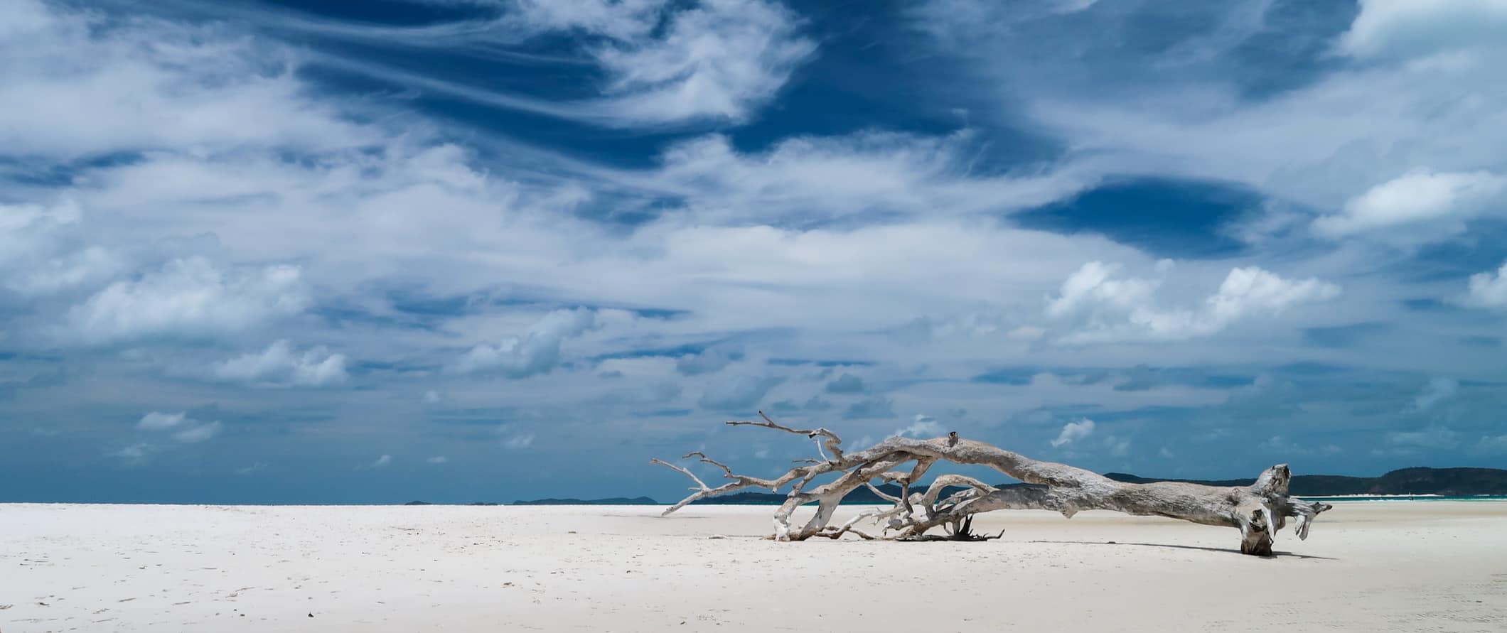 A dead tree resting on a white, sandy beach in the Whitsunday Islands in Australia