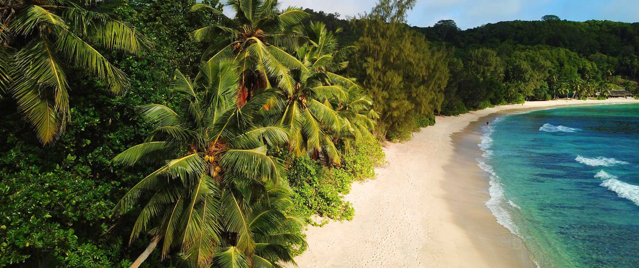 Close-up view of the beach lined with palm trees on the coast of the Yasawa Islands in Fiji