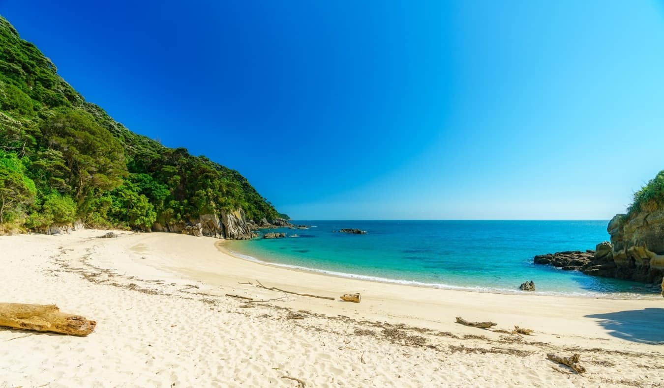 Sandy beach and bright blue waters of Abel Tasman National Park in New Zealand