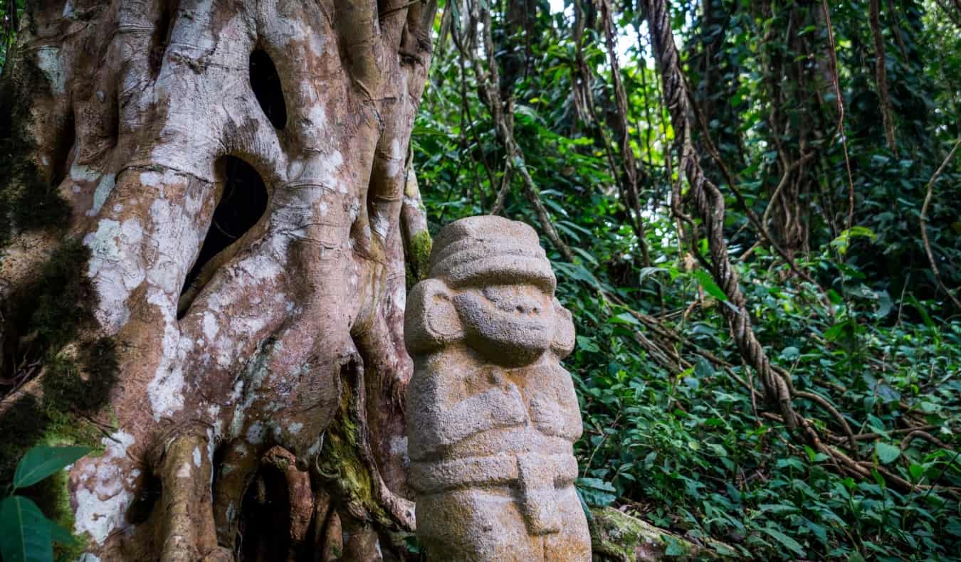 An ancient pre-Columbian statue in the rainforest next to an old tree with large roots.