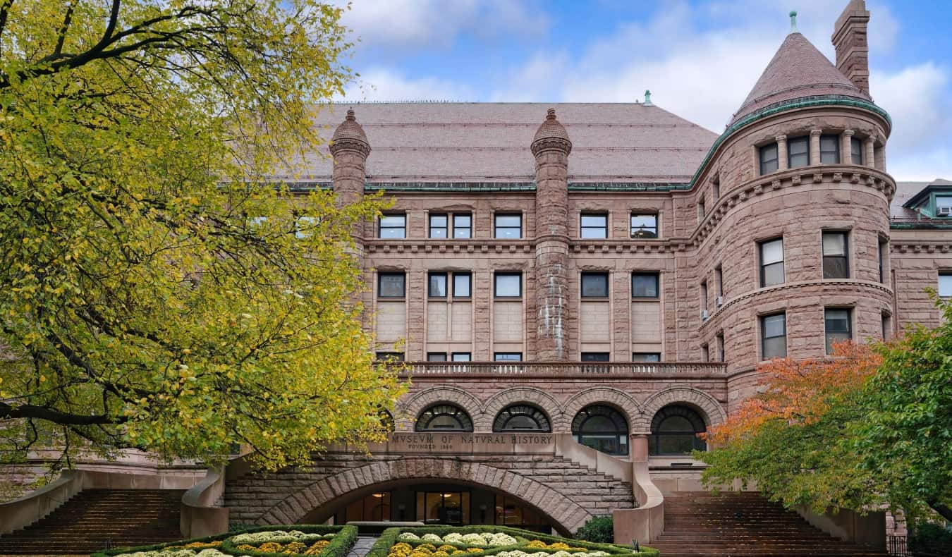 The American Museum of Natural History building surrounded by trees in NYC