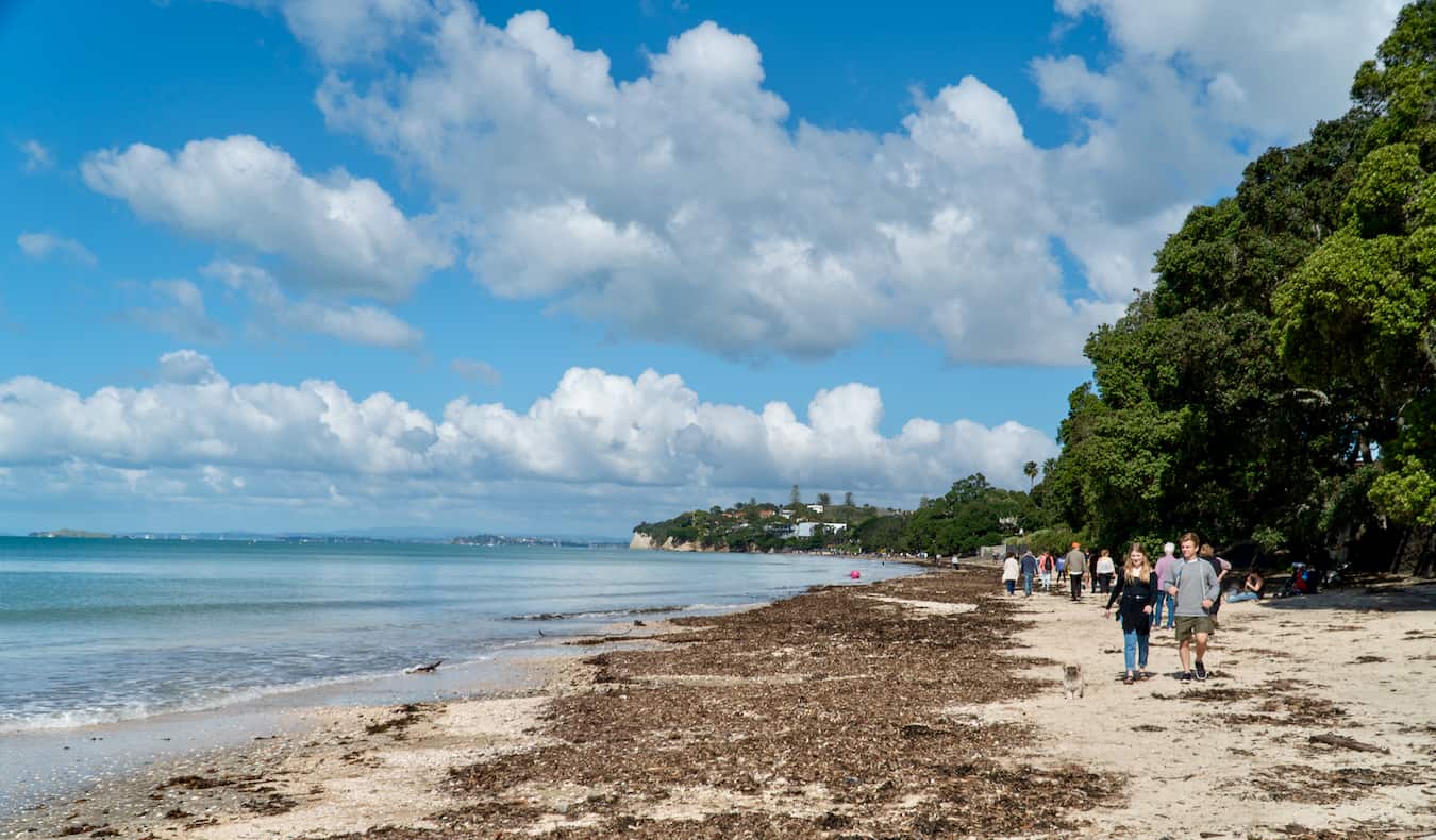 Njerëzit që ecin në plazhin e gjerë pranë Takapuna në Auckland, Zelanda e Re