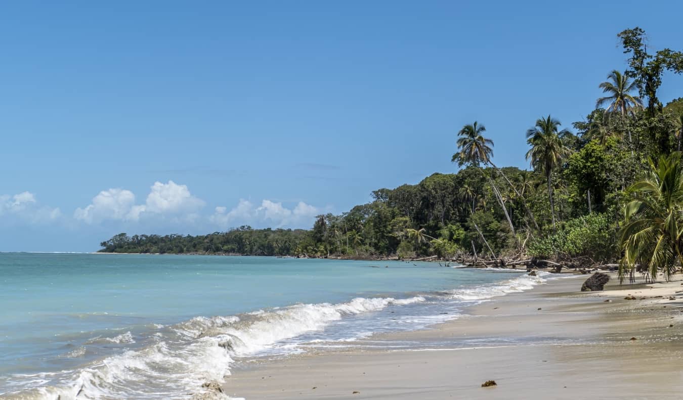 scenic sandy beach with palm trees in Cahuita National Park, Costa Rica