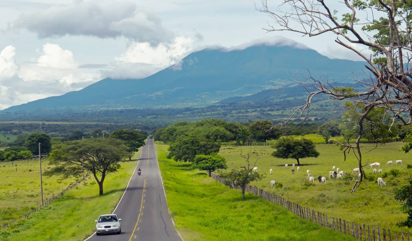 Cars driving down a road in Costa Rica with a volcano in the background and cows grazing on the sides of the road