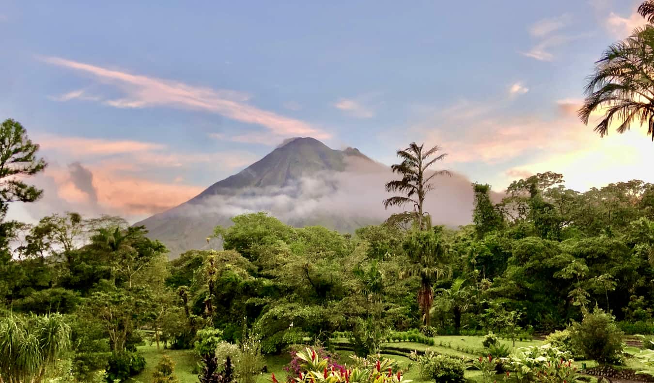 A lush, green jungle in Costa Rica, near Arenal