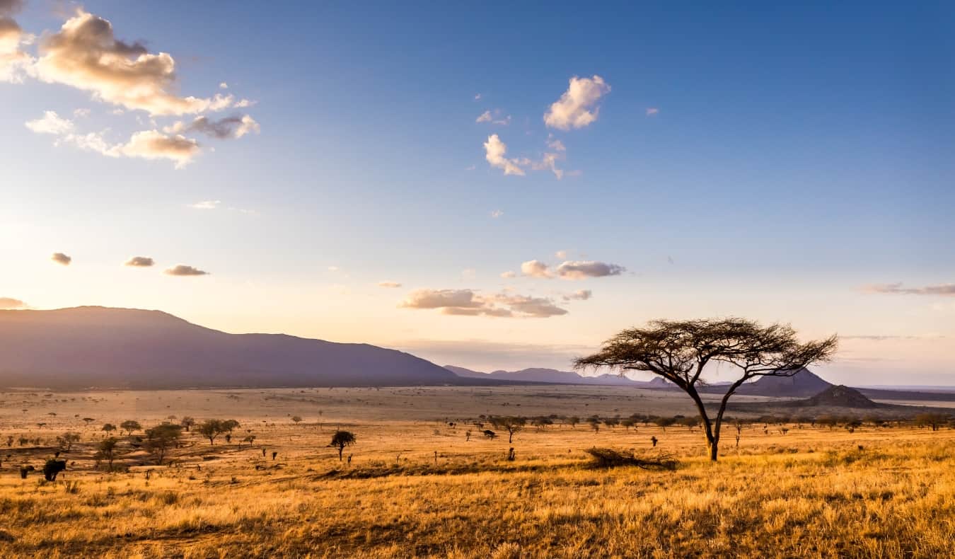 sunset on the savannah plains in Tsavo East National Park, Kenya