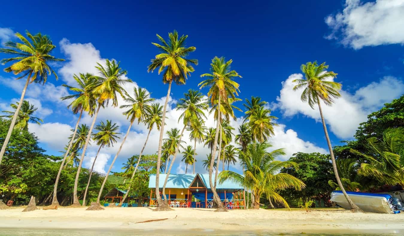 Colorful hut on a beach surrounded by palm trees in Providencia, Colombia