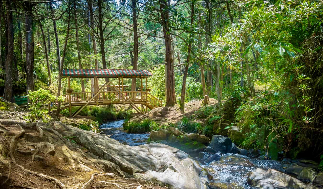 A relaxing scenic view in Parque Arvi in Medellin, Colombia