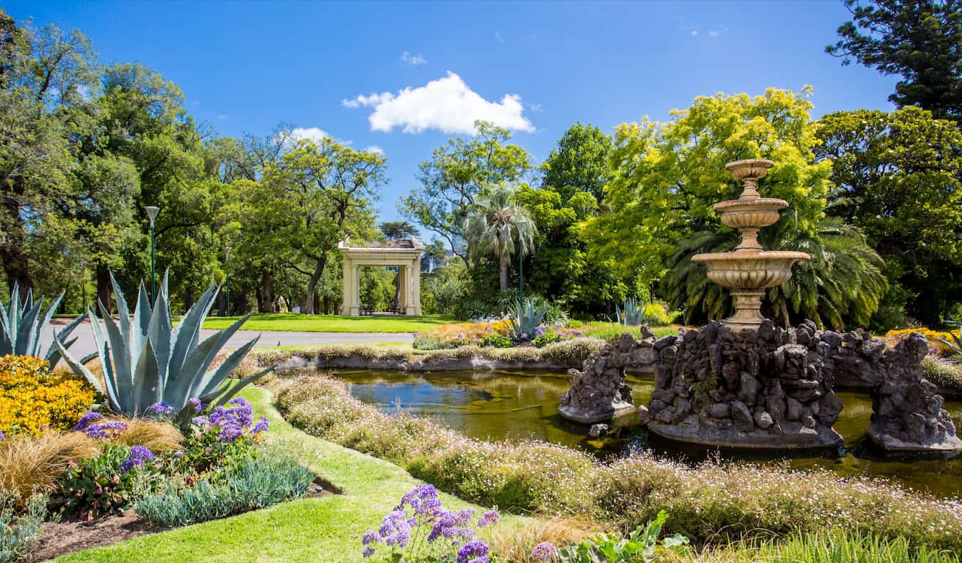 澳大利亚墨尔本菲茨罗伊区的一个令人放松的绿色花园