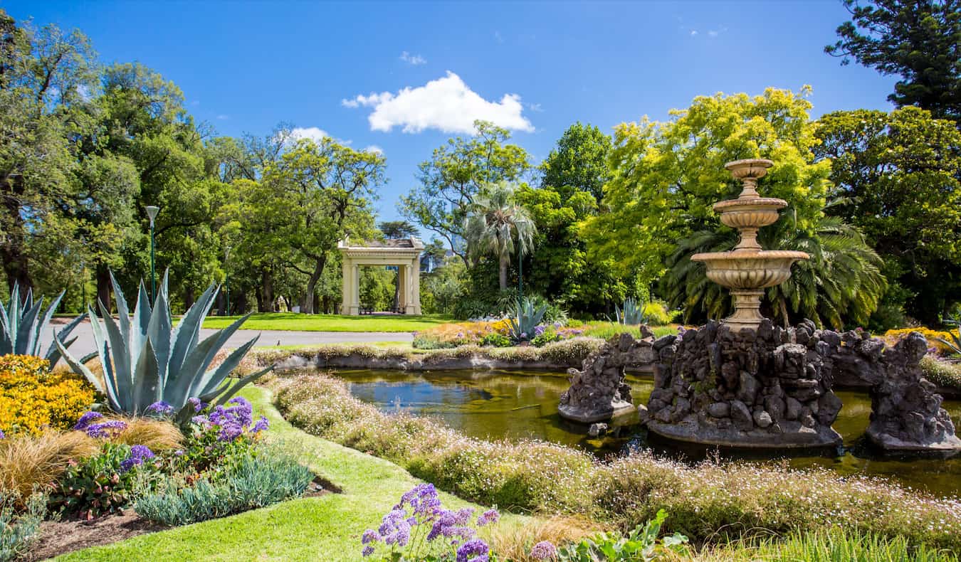 A relaxing, green garden in the Fitzroy area of Melbourne, Australia