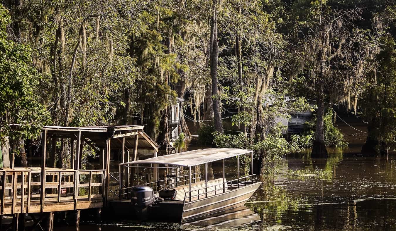 A boat in front of swamps and Spanish moss-covered trees in the Bayou, New Orleans, Louisiana, USA