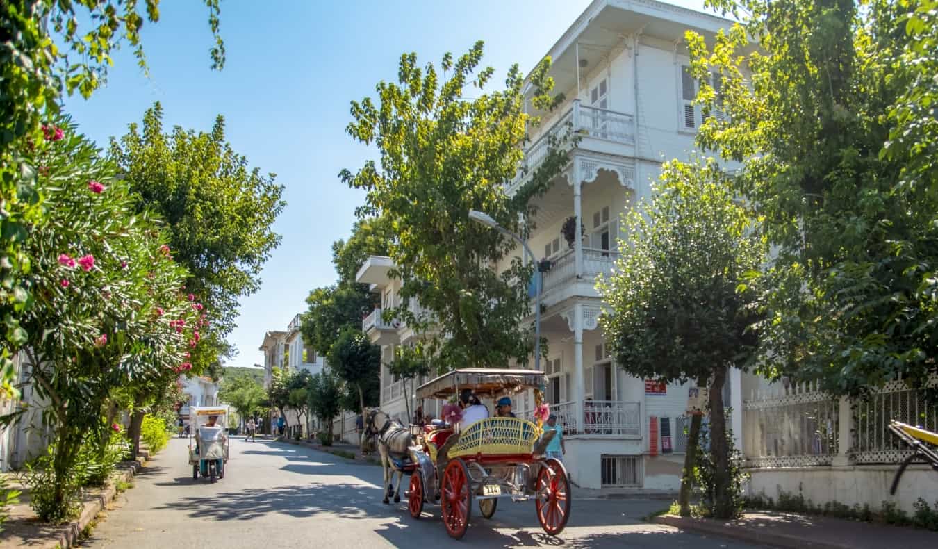 A carriage goes down the street on Büyükada island near Istanbul, Turkey