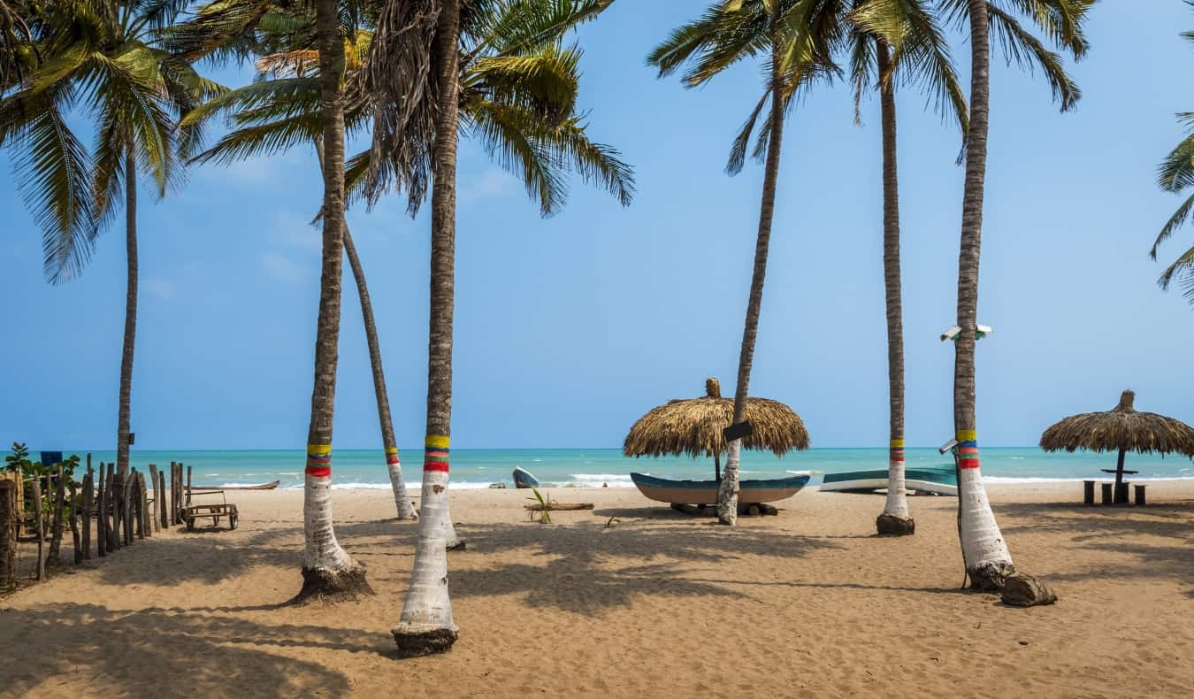 A deserted beach covered in palm trees in the town of Palomino on Colombia's tropical Caribbean Coast 