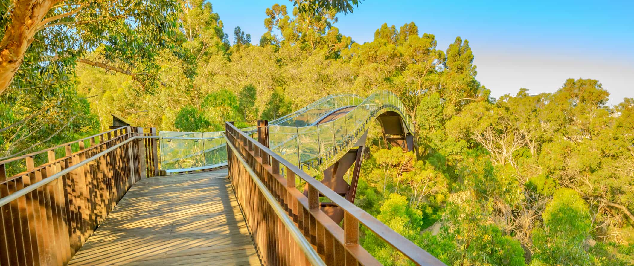 A cool boardwalk through lush greenery near Perth, Australia