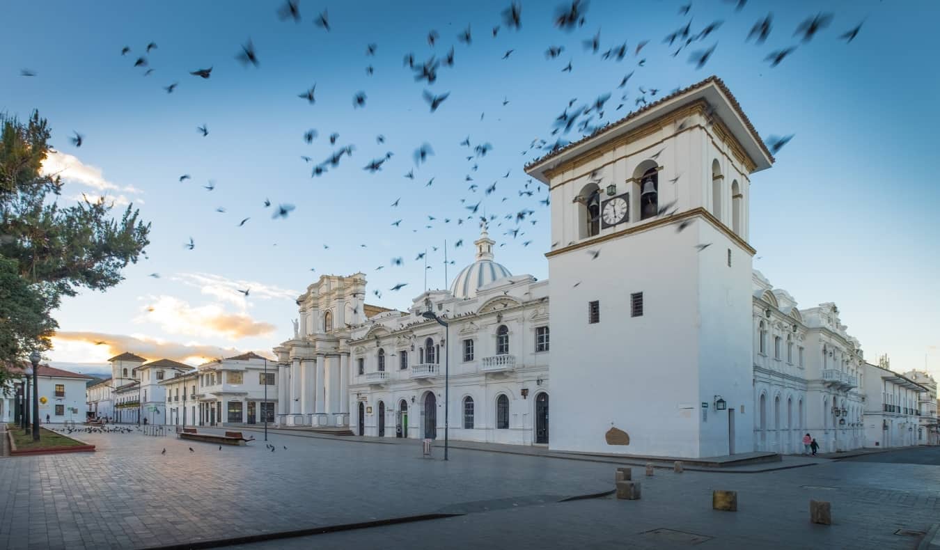 Flock of birds flying above the historic white buildings of Popayán, Colombia at sunrise