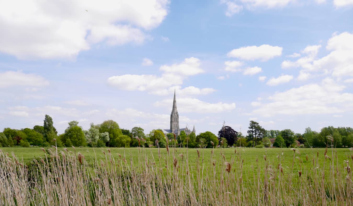The relaxing Harnham meadows in Salisbury, UK