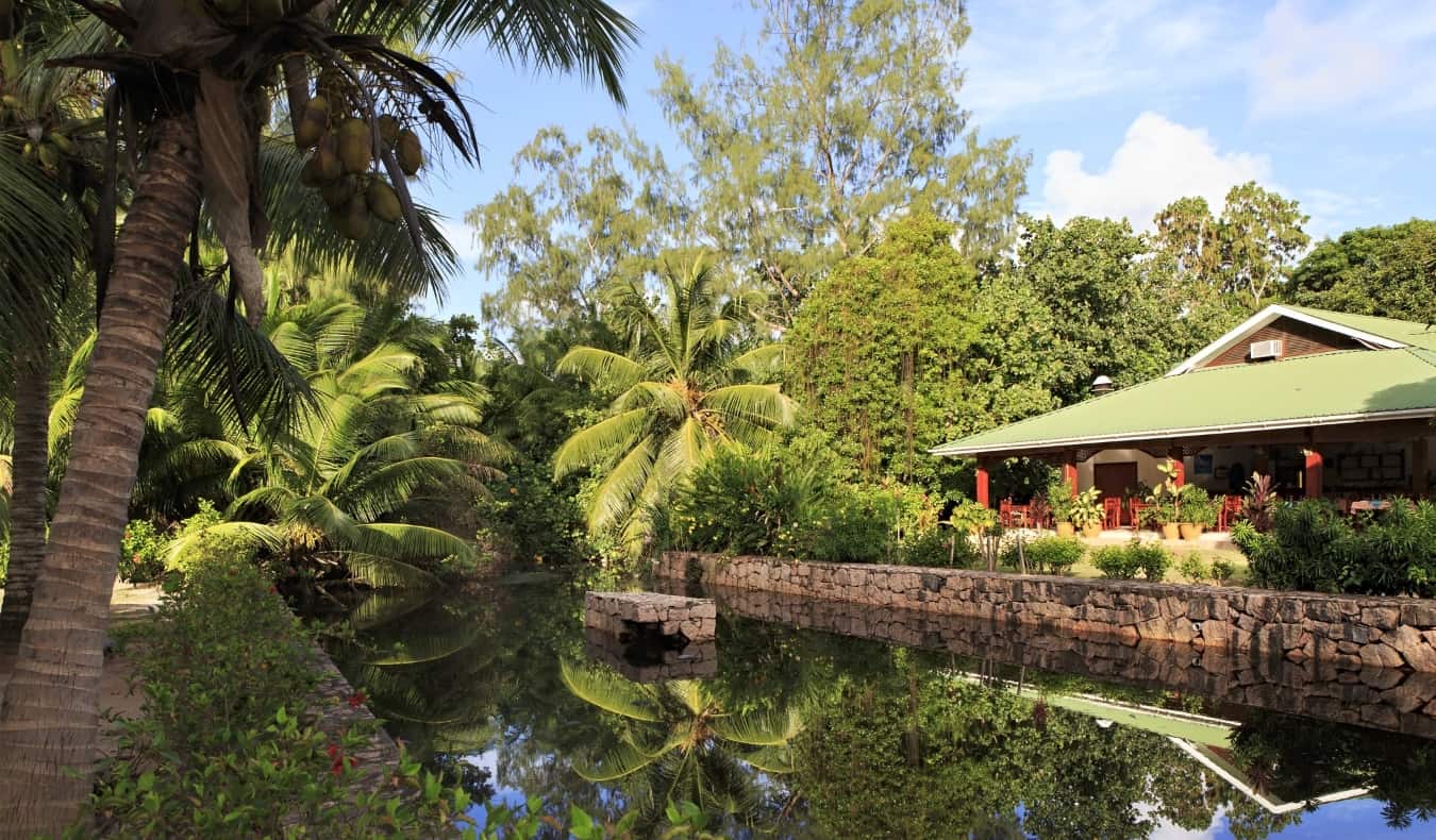Guesthouse overlooking a calm canal surrounded by a dense forest of palm trees in the Seychelles