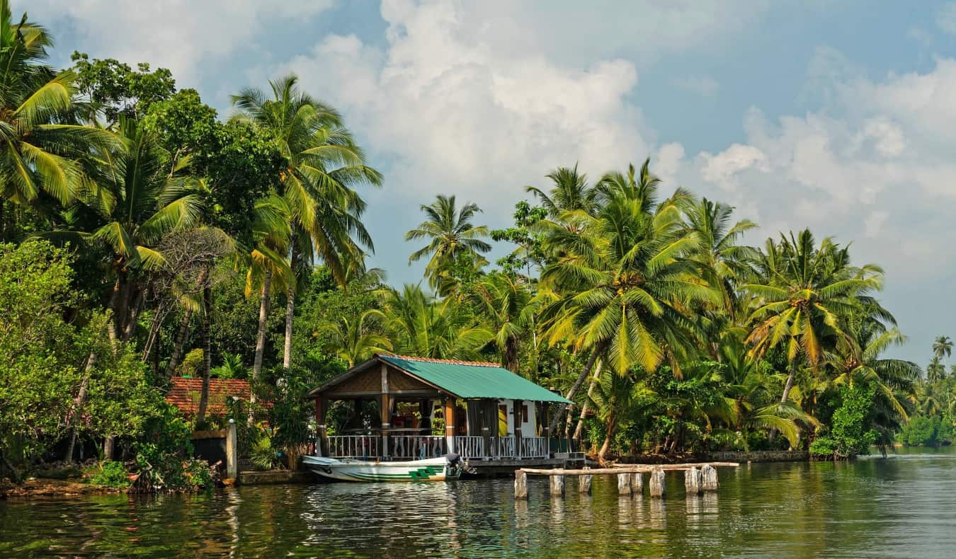 Thatched boathouse surrounded by palm trees in Sri Lanka