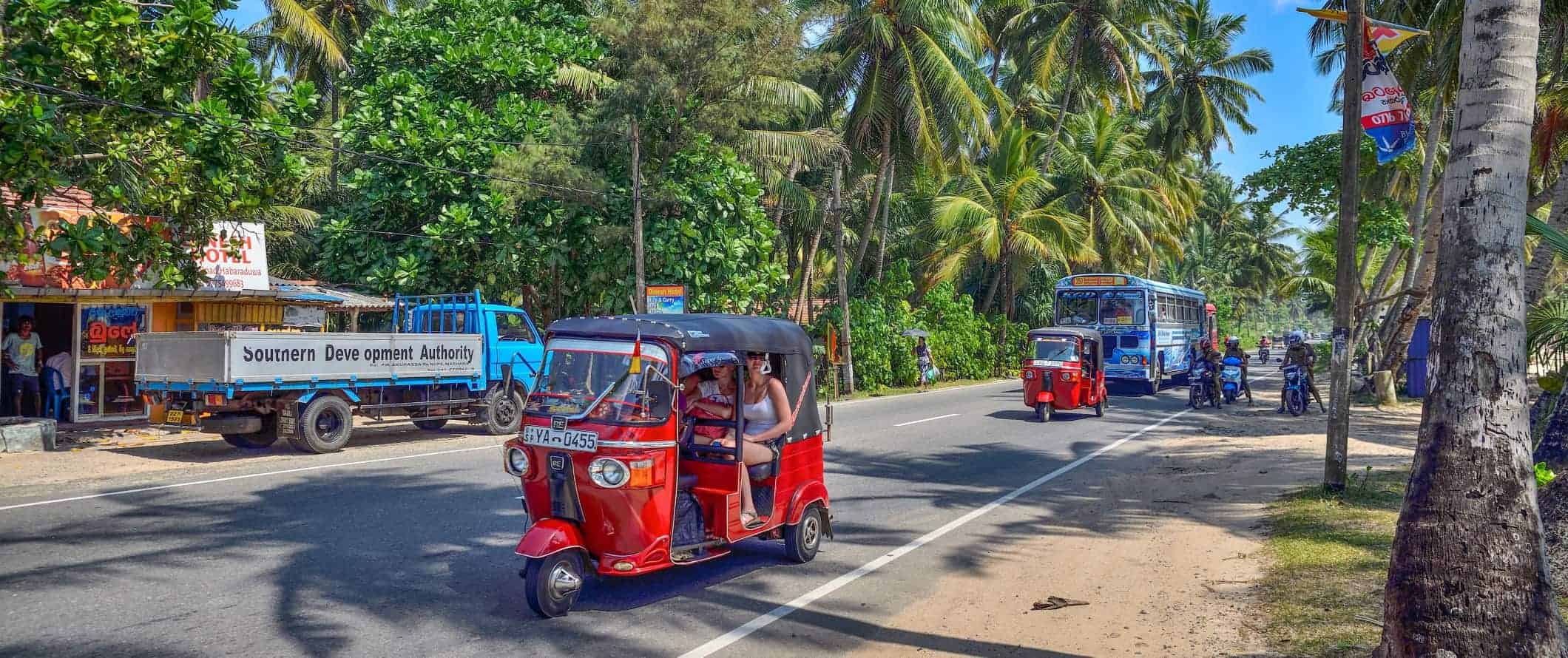 Tuk tuks and buses on a road lined with palm trees in Sri Lanka