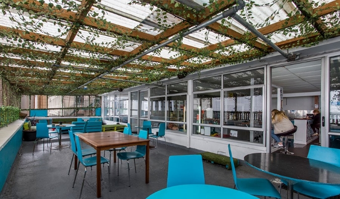 Enclosed rooftop terrace with a trellis covered in vines at The Attic Backpackers Hostel in Auckland, New Zealand