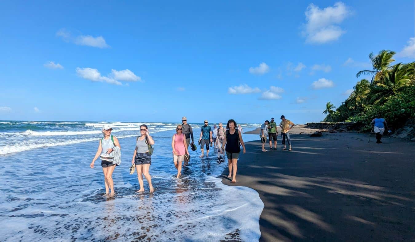 uma excursão em grupo da TNN caminhando por uma praia ensolarada e aberta