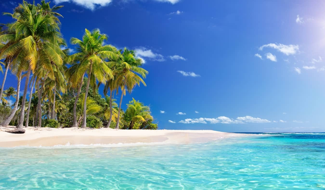 An empty white sand beach covered in palm trees on a sunny day