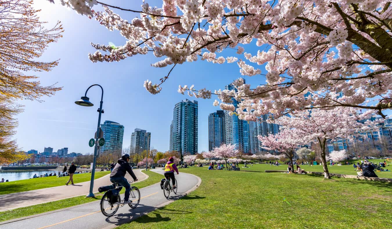 Where To Stay In Vancouver, B.C.: Guide For First Timers