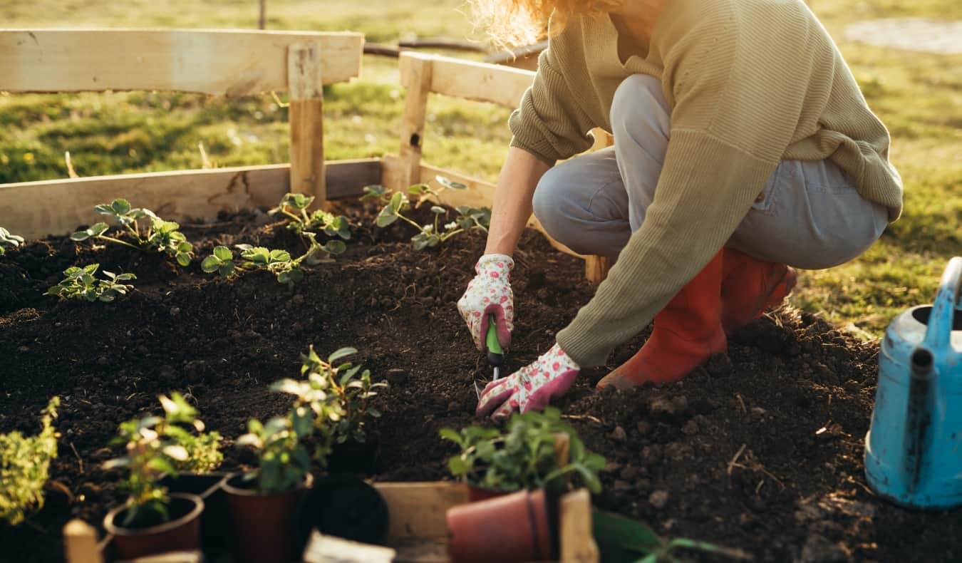 Someone planting on an urban farm