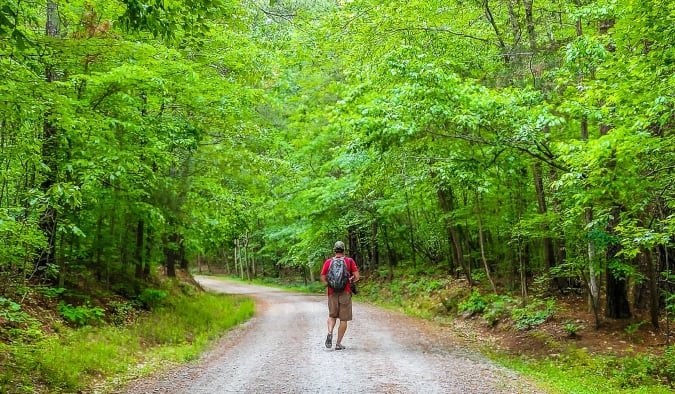 A man walks down a leafy trail in Umstead State Park in Raleigh, North Carolina