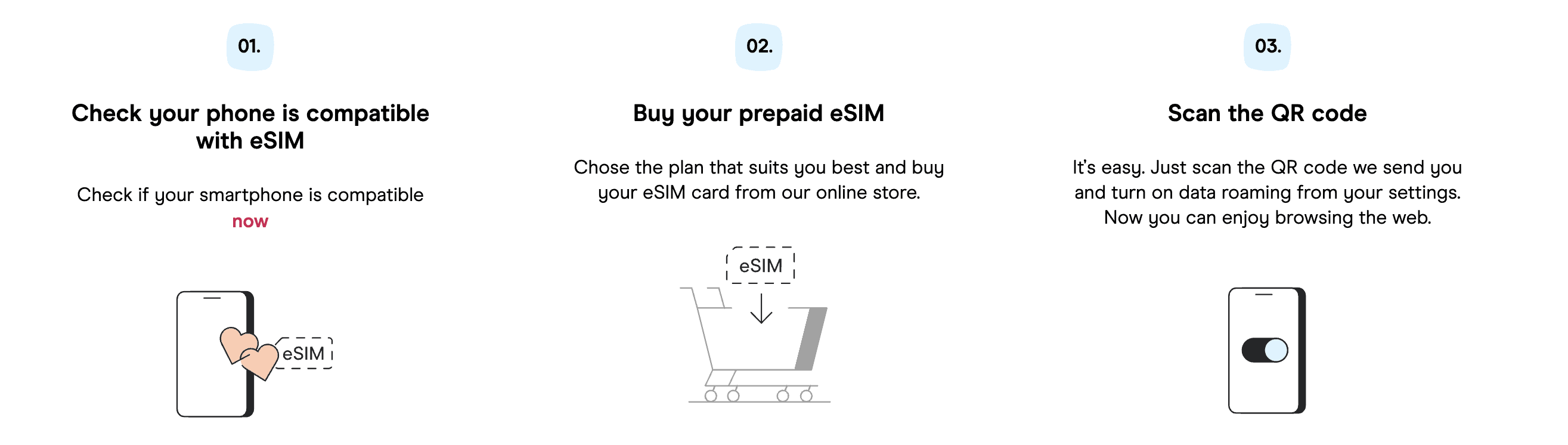 a Holafly eSIM screenshot from their website with instructions