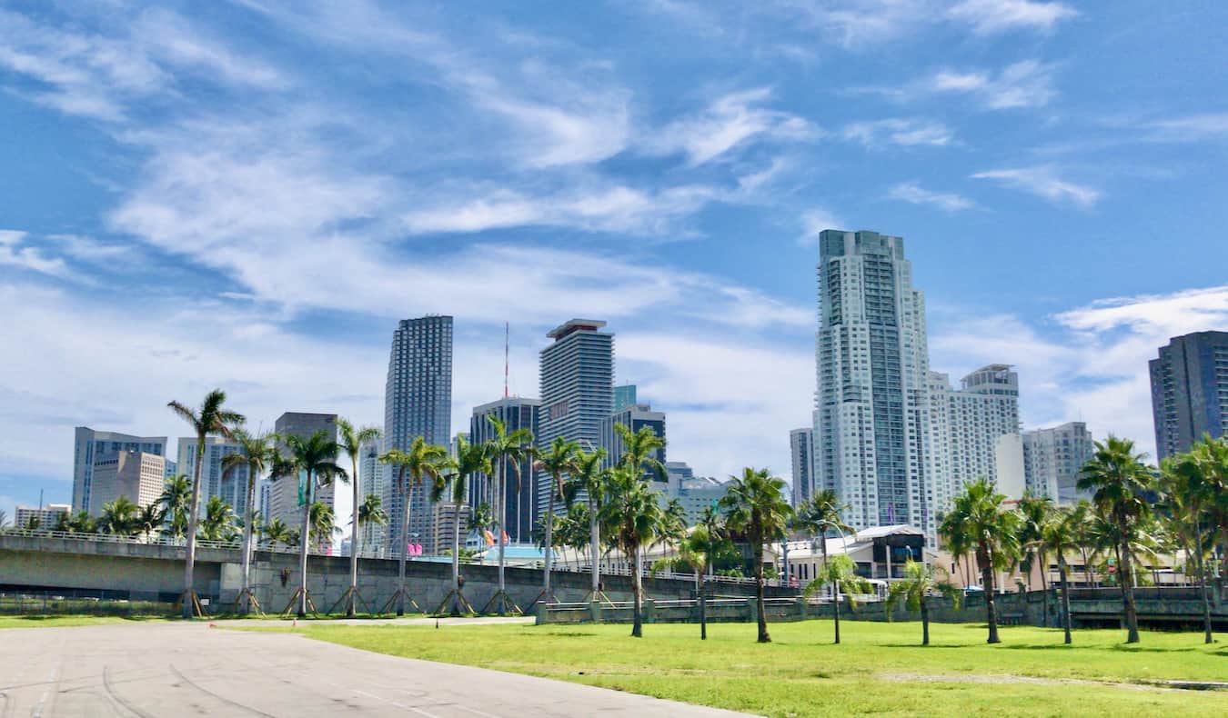 Towering skyscrapers filling the view in Downtown Miami, with a park and palm trees in the foreground
