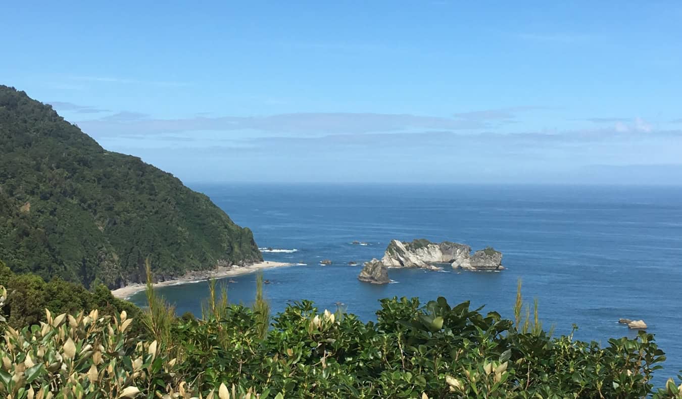 A view over a large body of water with lush banks on the South Island of New Zealand.