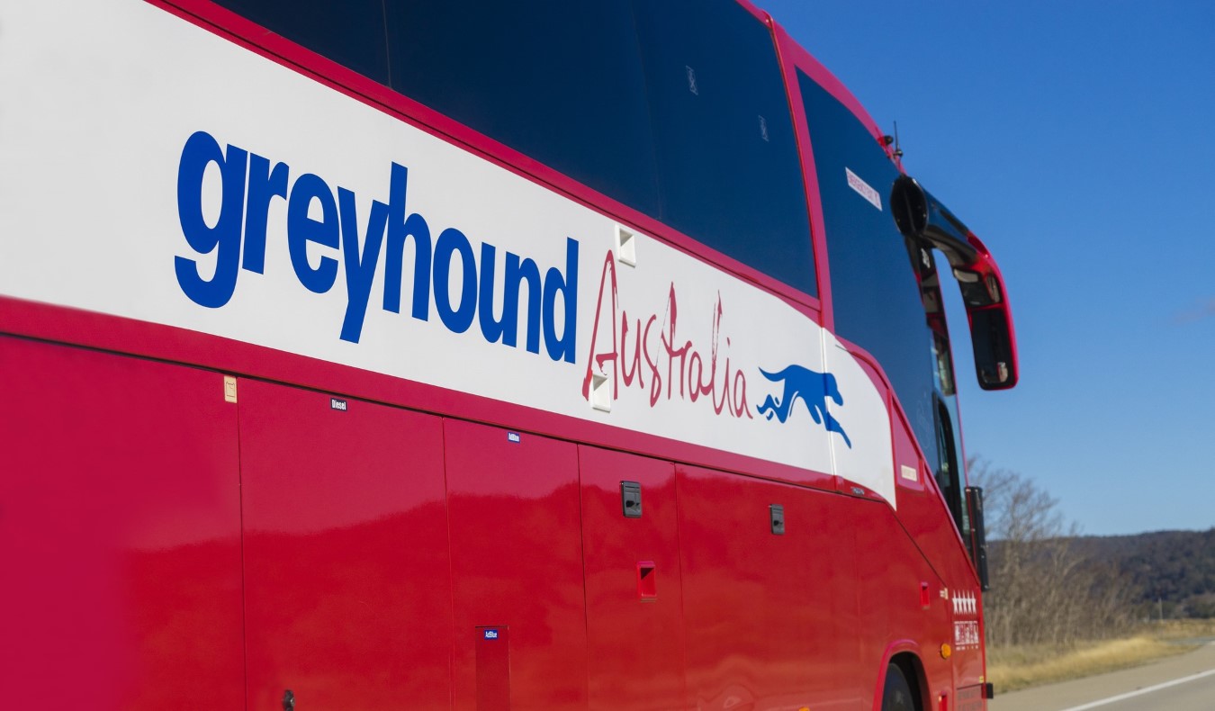 A red bus with the words 'Greyhound Australia' on the side